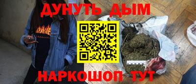 шишки Лесосибирск