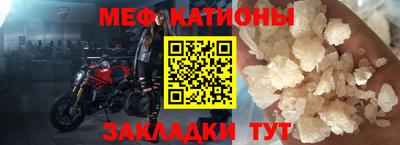 шишки Лесосибирск