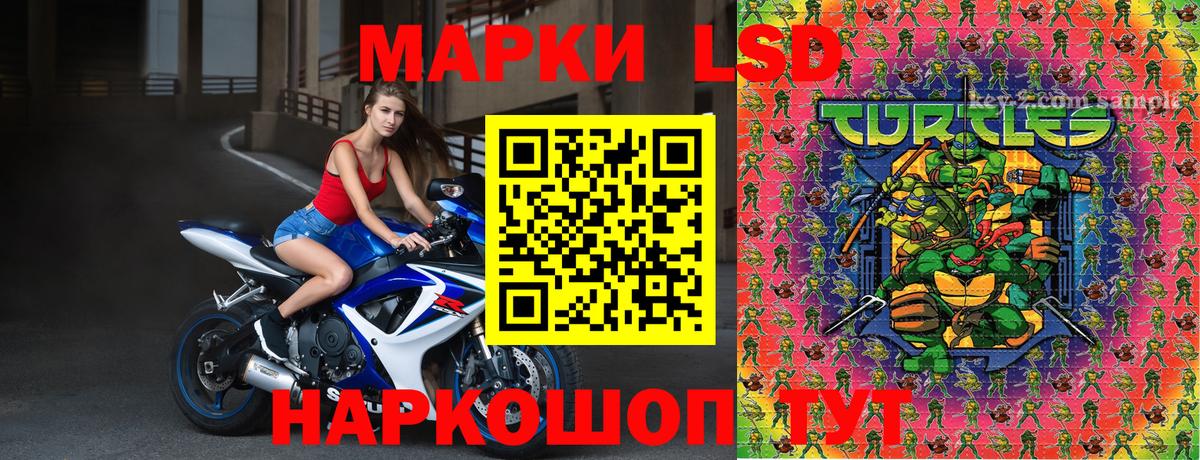 Марки N-bome 1,5мг  Марки N-bome 1,5мг  Вход с VPN  Камышин 