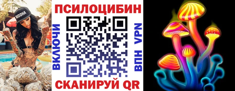 даркнет сайт  Камышин  Галлюциногенные грибы MAGIC MUSHROOMS 