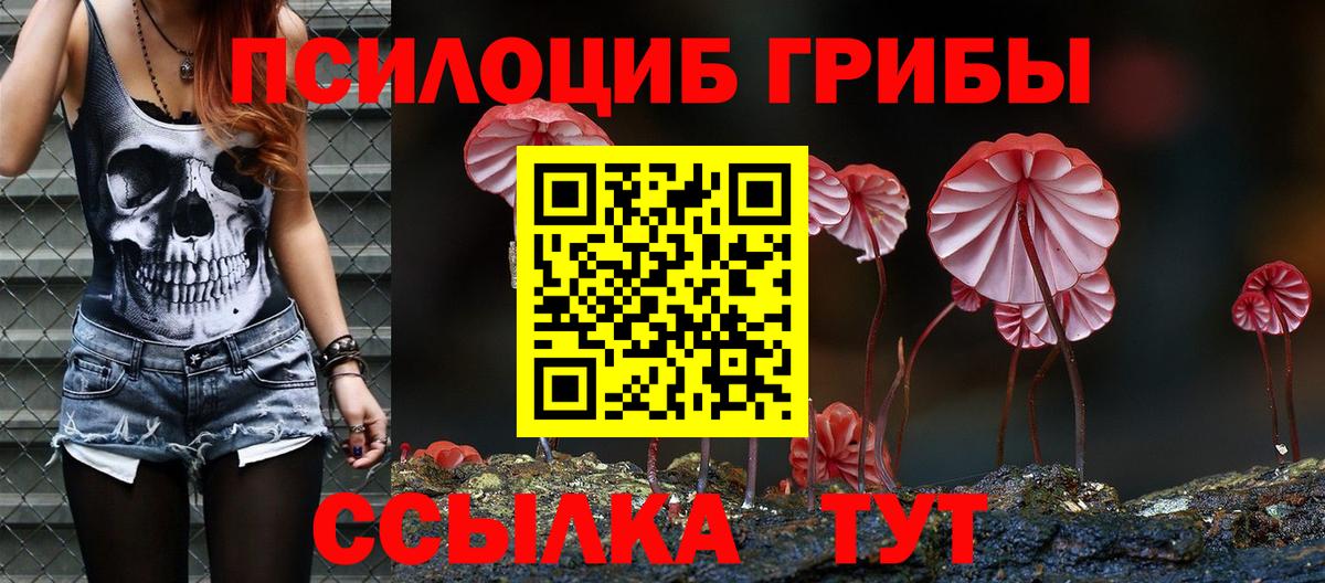 Псилоцибиновые грибы ЛСД Камышин